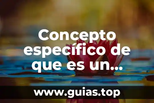 Que es un habito personal 5 Concepto específico de que es un hábito alimenticio