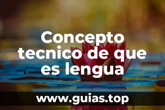 Que es un tecnico en electricidad 6 Concepto tecnico de que es lengua