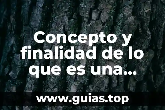 Que es el envejecimiento concepto 5 Concepto y finalidad de lo que es una intervención quirúrgica