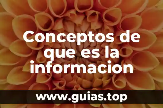 Que es relacion entre conceptos 4 Conceptos de que es la informacion
