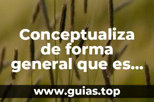 Examen neurodiagnóstico qué es cómo se forma 7 Conceptualiza de forma general que es una función