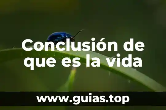 Que es vida util indefinida 8 Conclusión de que es la vida