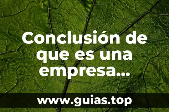 Que es flexible socialmente 4 Conclusión de que es una empresa socialmente responsable