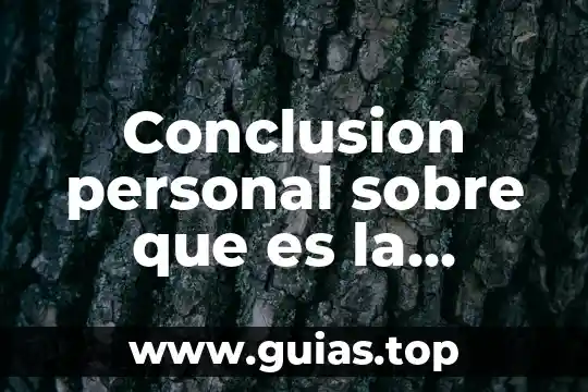 Que es un bosquejo de la realidad personal 7 Conclusion personal sobre que es la estadística definida