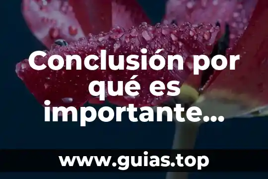 Qué es mejor estudiar contaduría o administración 6 Conclusión por qué es importante estudiar administración de empresas