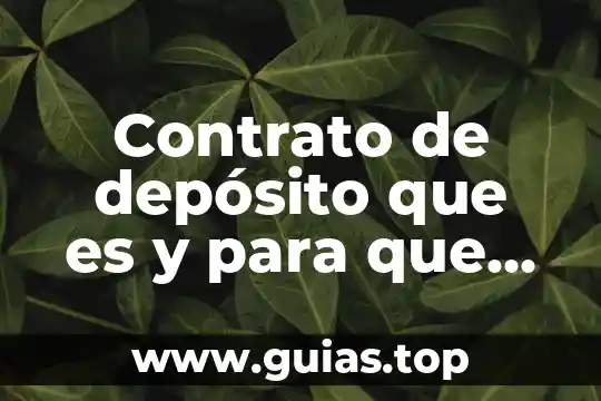 Que es la papeleta de deposito concepto 5 Contrato de depósito que es y para que sirve