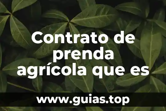 Que es un tecnico en produccin agricola 4 Contrato de prenda agrícola que es
