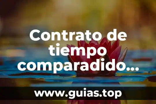 Que es el tiempo pasado compuesto 6 Contrato de tiempo comparadido que es