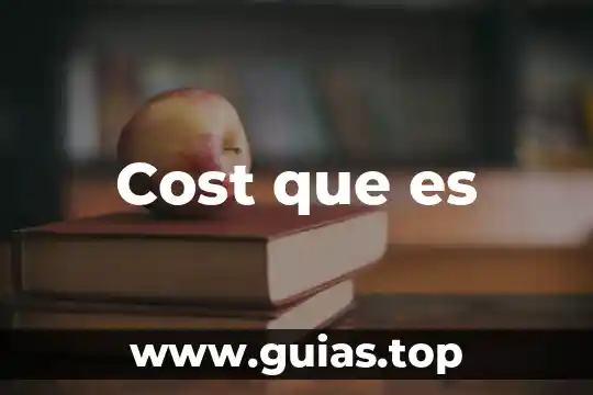 Qué es el fenómeno low cost 5 Cost que es
