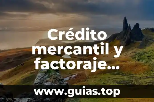 Que es el concepto de sistema financiero 5 Crédito mercantil y factoraje financiero que es