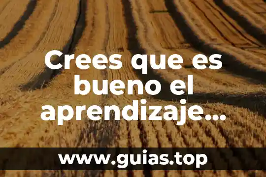 Que es bueno comer para un susto 3 Crees que es bueno el aprendizaje social porque