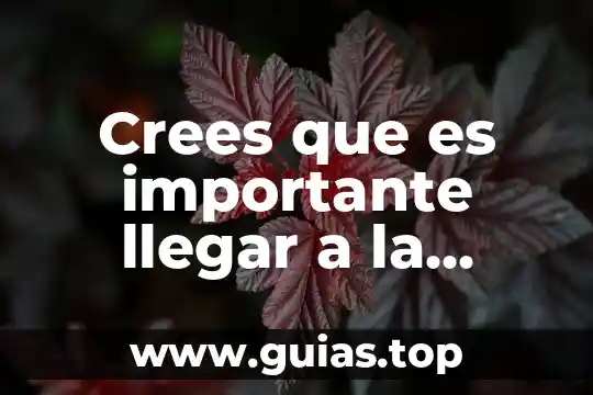 Estas preso de nuevo verdad crees que es un juego 3 Crees que es importante llegar a la verdad por qué
