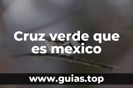 Que es problemas problemas provoco la peste negra 5 Cruz verde que es mexico