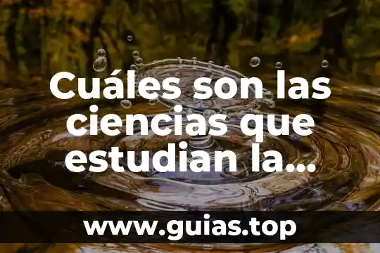 Qué es filosofía y cuáles son sus características 7 Cuáles son las ciencias que estudian la vida que es