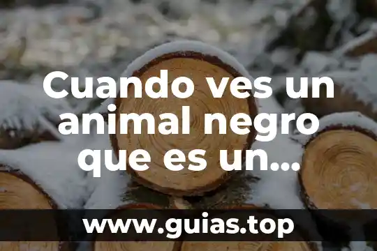 Que es animal de ornamento 3 Cuando ves un animal negro que es un animal gallo