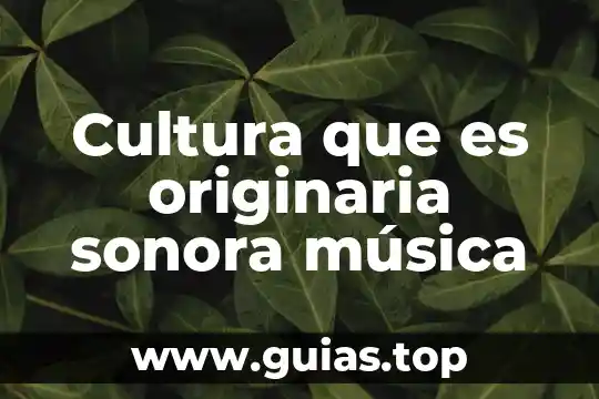 Para que es un compresor musica 5 Cultura que es originaria sonora música