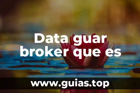 Que es ek tidy data 8 Data guar broker que es