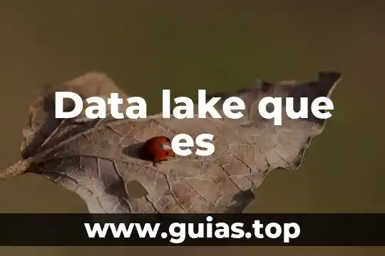Data guar broker que es 5 Data lake que es