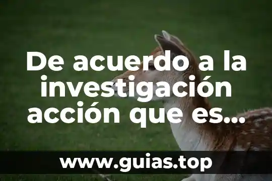 Que es la muerte definicion filosofica 8 De acuerdo a la investigación acción que es un problema