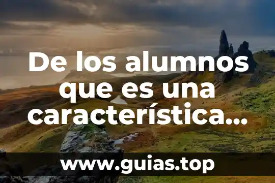 Que es tochito bandera imajenes como se caracteristica 8 De los alumnos que es una característica cognitiva