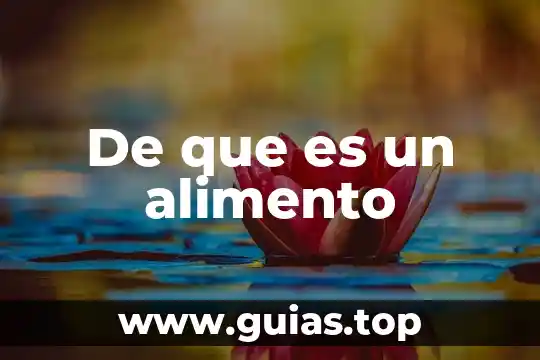 Que es un alimento respecto a restaurantes 3 De que es un alimento