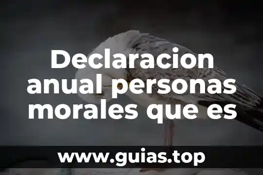 Que es el aura en las personas fallecidas 3 Declaracion anual personas morales que es