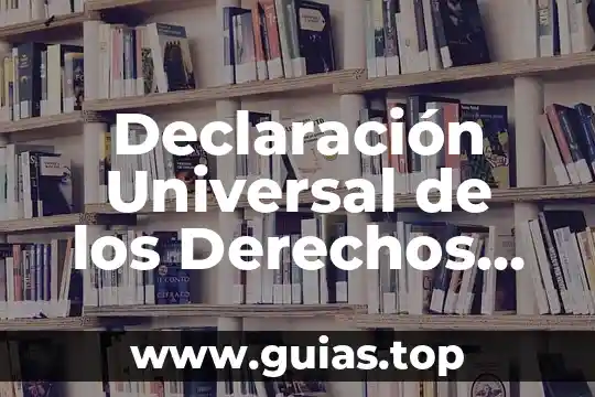 Que es una declaracion anual informativa 8 Declaración Universal de los Derechos Humanos para adolescentes que es