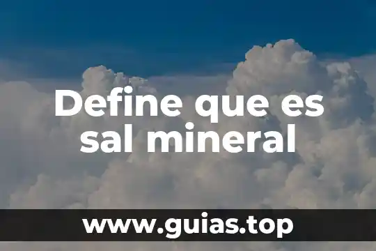 Que es el reino animal vegetal y mineral 3 Define que es sal mineral