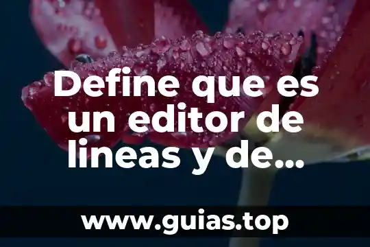Que es el pensamiento segun la filosofia 8 Define que es un editor de lineas y de texto