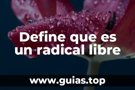 Que es la realidad primaria radical y fundamental 8 Define que es un radical libre