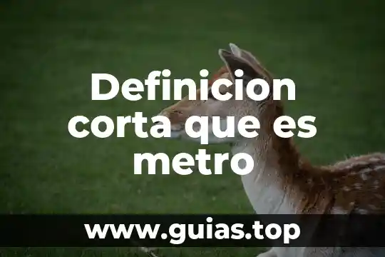 Que es la verdad definicion corta 8 Definicion corta que es metro