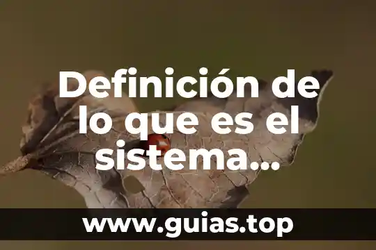 Que es mejor dif estatal o municipal en aguascalientes 4 Definición de lo que es el sistema municipal