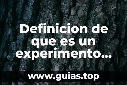 Que es experimentar definición para niños 7 Definicion de que es un experimento para niños de preescolar