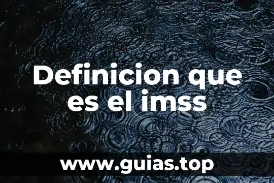 Que es un canon de belleza definicion 4 Definicion que es el imss