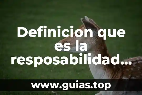 Qué es un de riesgo definición 7 Definicion que es la resposabilidad social