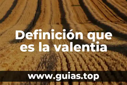 Definición que es un lider 5 Definición que es la valentia
