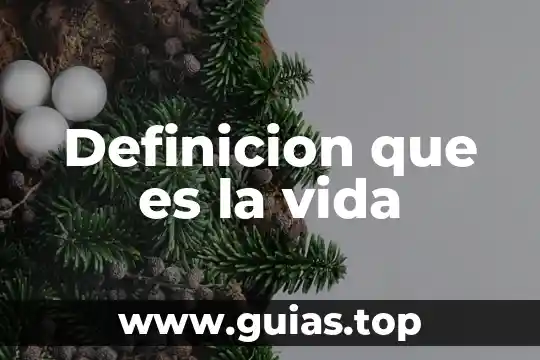 Que es pago tt o ti 3 Definicion que es la vida