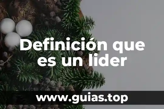 Definición que es la valentia 5 Definición que es un lider