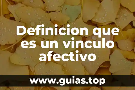 Que es una definición rae 7 Definicion que es un vinculo afectivo