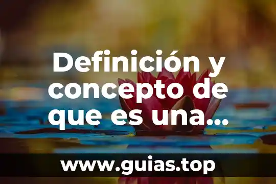 Concepto que es desarrollo 7 Definición y concepto de que es una empresa