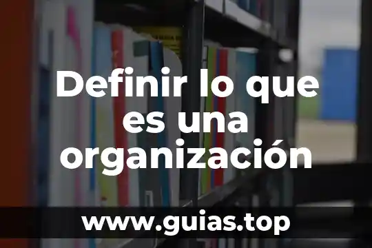 Autores que puedan definir lo que es un algoritmo 6 Definir lo que es una organización
