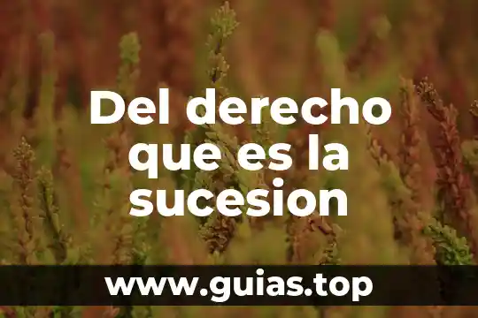 Qué es el día de descanso y tipos 6 Del derecho que es la sucesion