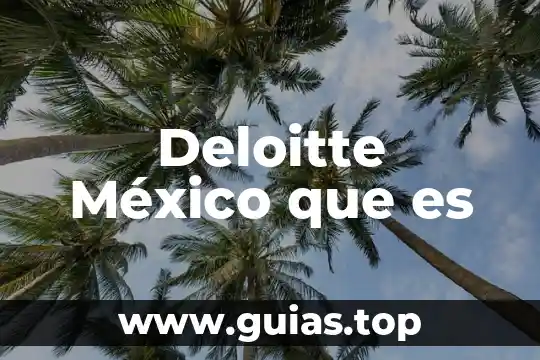 Que es la inclusion para mexico 8 Deloitte México que es