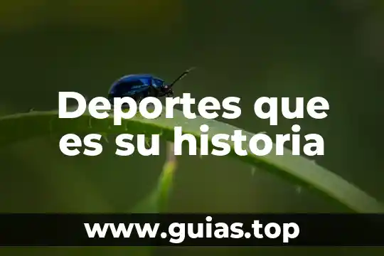 Que es xenofobia en historia universal 5 Deportes que es su historia