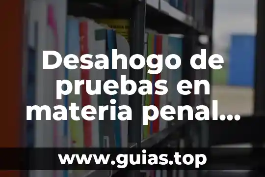 Que es el garantismo en derecho penal 7 Desahogo de pruebas en materia penal que es