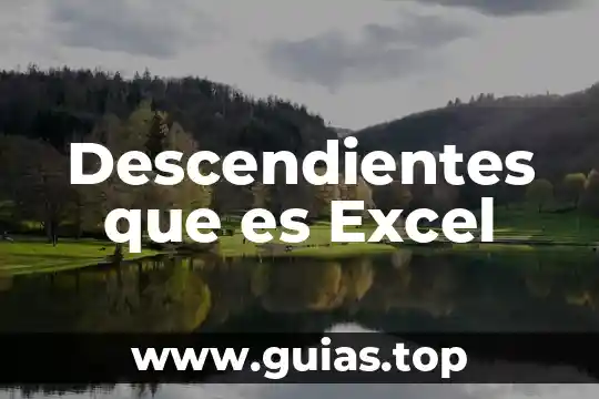 Que es una referencia mixta en microsoft excel 5 Descendientes que es Excel