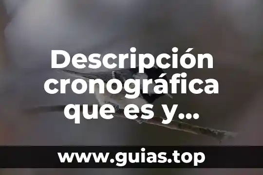 Que es descripción de actividades 3 Descripción cronográfica que es y ejemplos