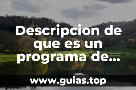 Qué es la descripción de la teoría 6 Descripcion de que es un programa de apoyo