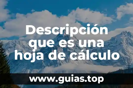 Que es descripción de actividades 4 Descripción que es una hoja de cálculo