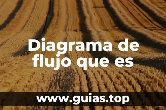 Qué es un dominio de internet y qué tipos existen 7 Diagrama de flujo que es